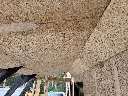 IMG_5950.webp